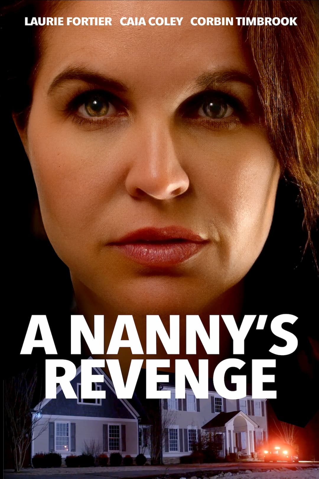 Ver A Nanny's Revenge (2024) Online Latino HD - PELISPLUS